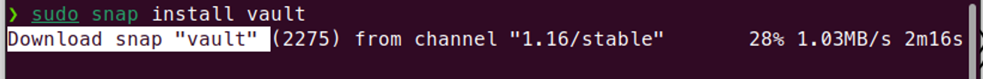 Terminal running sudo snap install vault command
