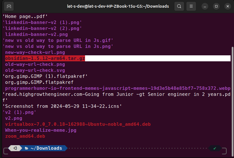 Terminal showing ls -lta output in Downloads directory