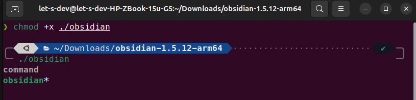 Obsidian application running after manual tar.gz installation