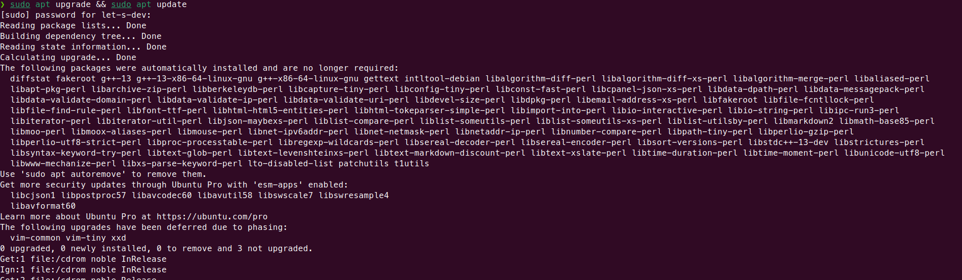 Terminal showing sudo apt upgrade and update commands