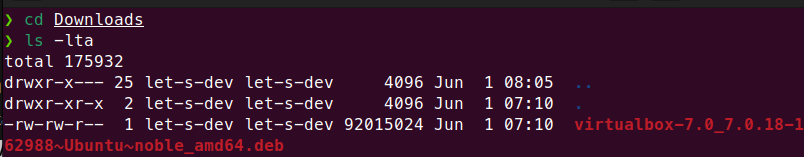 Terminal listing Downloads directory with ls -lta