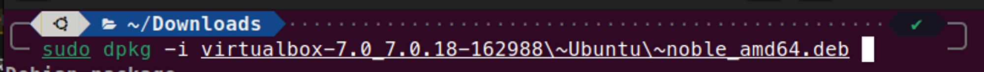 Terminal running sudo dpkg -i virtualbox deb package command